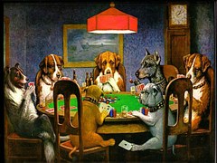 chiens de poker