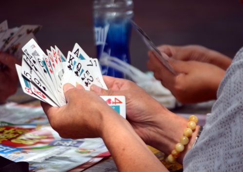 vezimas kortu zaidimas